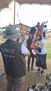 lollapaloza