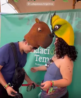 lollapaloza