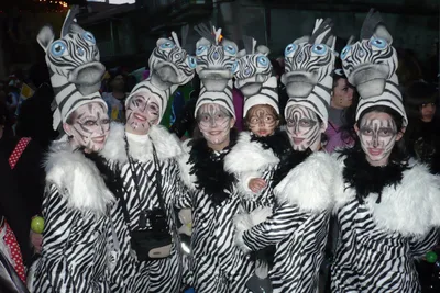 CarnavaldeXinzodeLimia2011