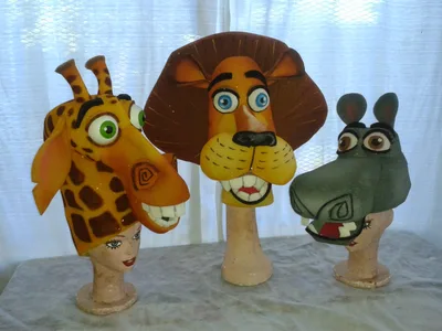 Madagascar 8