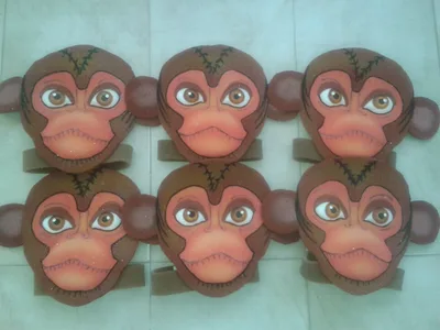 Reino Animal 16