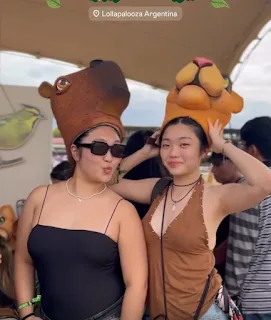 lollapaloza