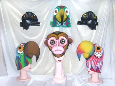 Reino Animal 25