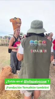 lollapaloza