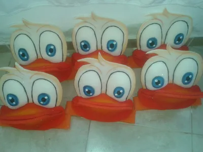 Reino Animal 14