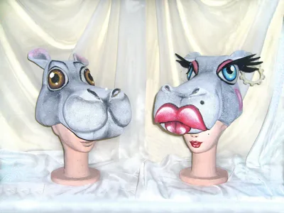 Reino Animal 5